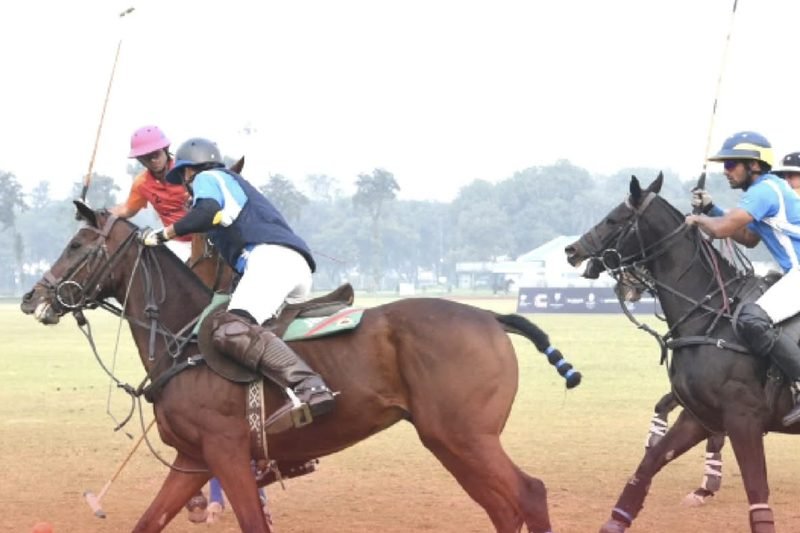 Polo players on horseback chasing the ball across the ground, Dalimss Sunbeam Rohania