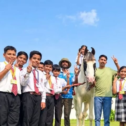 A day of horse riding, Rohania